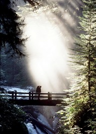 Two crossing a bridge in Yosemite Valley while bathed in sunlight