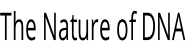 The Nature of DNA