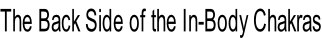 The Back Side of the In-Body Chakras