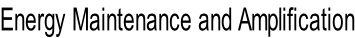 Energy Maintenance and Amplification