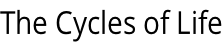 The Cycles of Life
